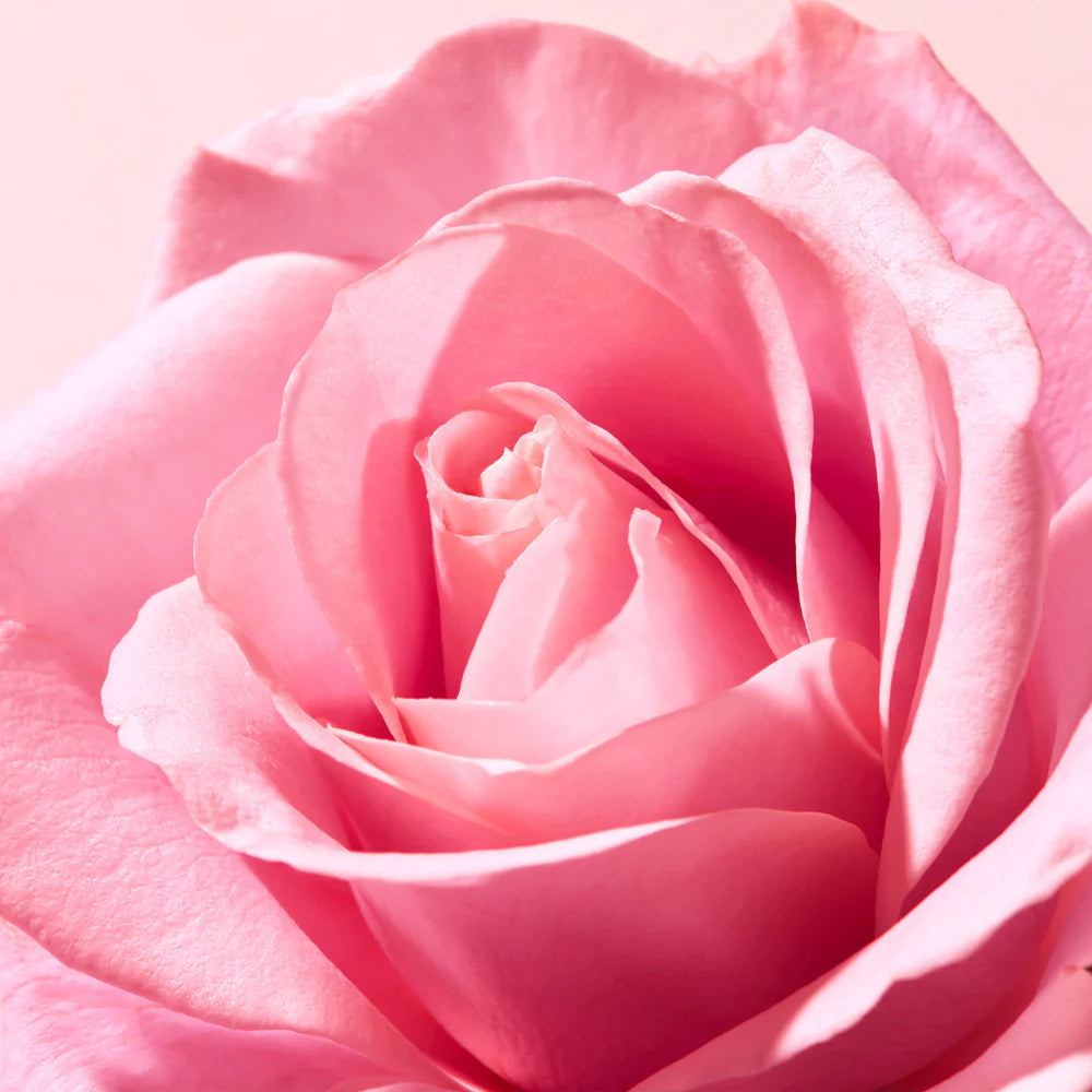 NUXE BALSAMO LABBRA ALLA FRAGRANZA DI ROSA 15G