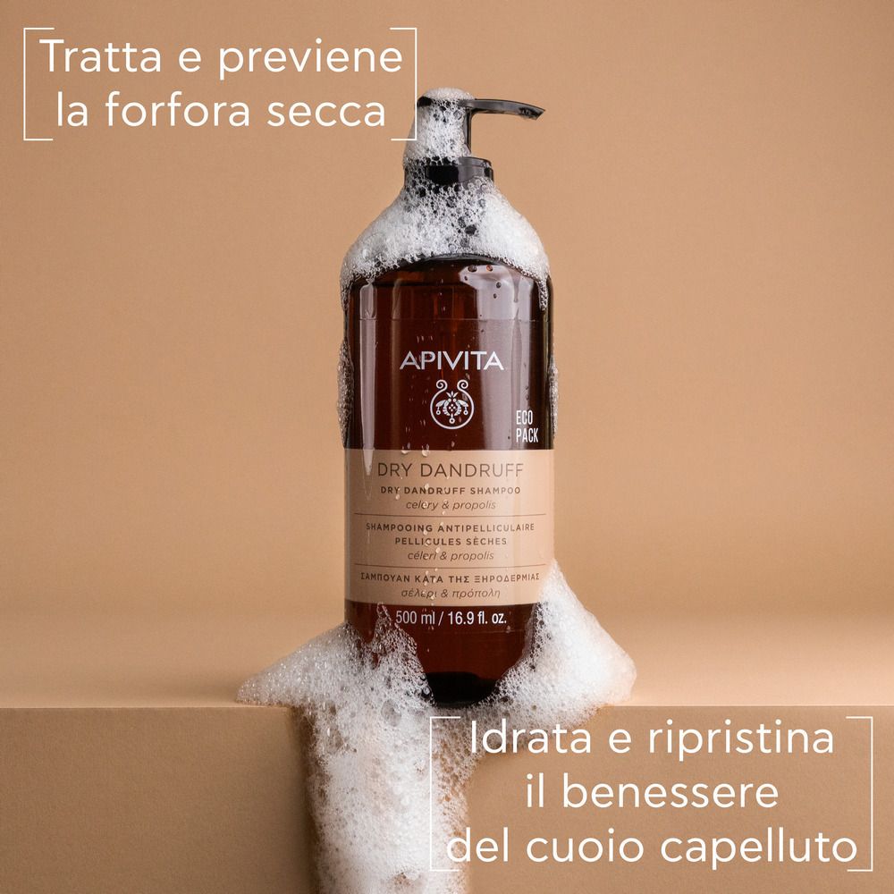 APIVITA SHAMPOO DRY DANDRUFF 500ML