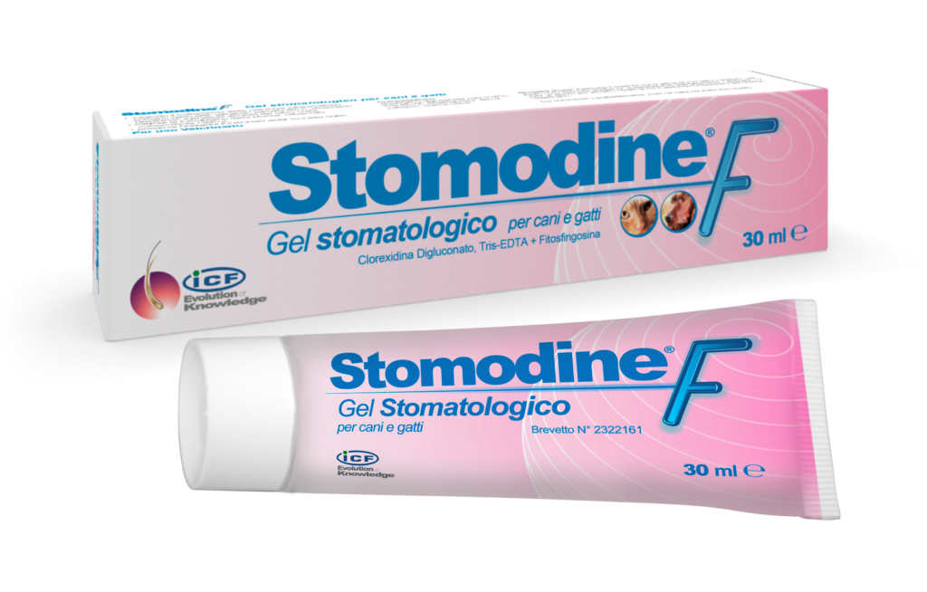 STOMODINE F GEL STOMATOLOGICO PER CANI E GATTI 30ML