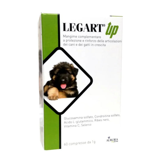 LEGART UP MANGIME COMPLEMENTARE PER CANI E GATTI 60 COMPRESSE DA 1G