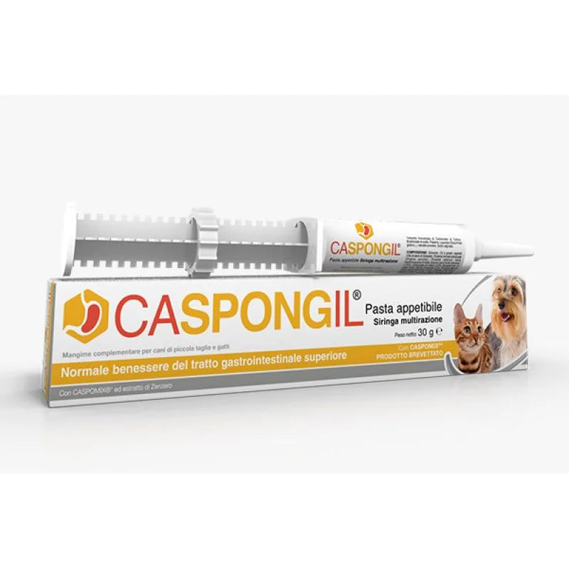 CASPONGIL PASTA APPETIBILE 30G
