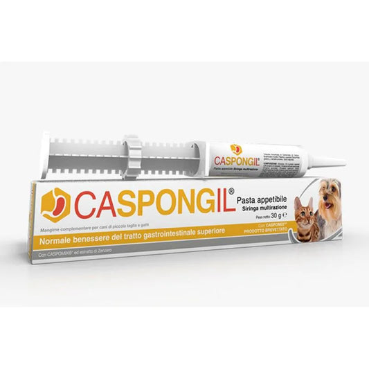 CASPONGIL PASTA APPETIBILE 30G